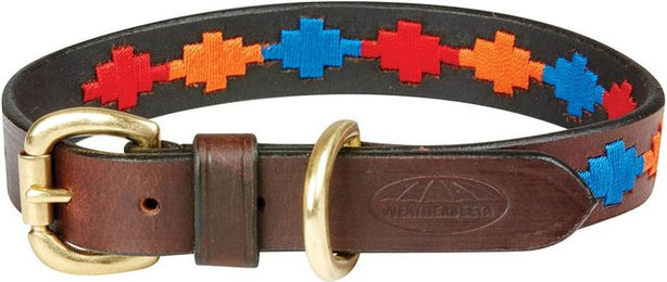 Hundehalsband aus Leder Weatherbeeta Polo – Bild 1 von 2
