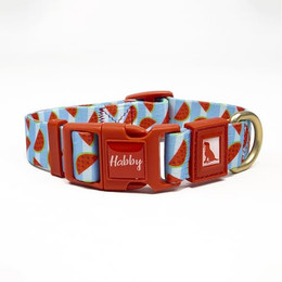 Produktbild von Hundehalsband Bunte & Stilvolle aus recyceltem Material 25mm