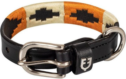 Produktbild von Hundehalsband Equestro Polo H