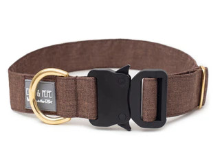 Produktbild von Hundehalsband Golden - Safety