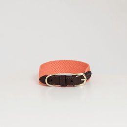 Produktbild von Hundehalsband Kentucky Jacquard