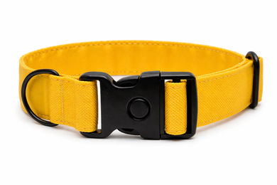 Produktbild von Hundehalsband Lemonade Extreme - 35-55 cm