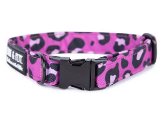 Produktbild von Hundehalsband Leo Fuchsia - 3cm