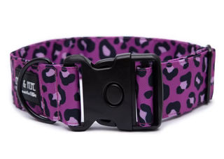 Produktbild von Hundehalsband Leo Fuchsia - Extreme