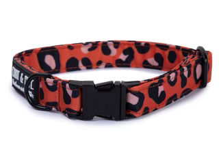 Produktbild von Hundehalsband Leo Orange - 2cm