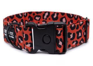 Produktbild von Hundehalsband Leo Orange - Extreme