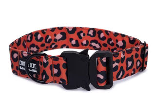 Produktbild von Hundehalsband Leo Orange - Safety