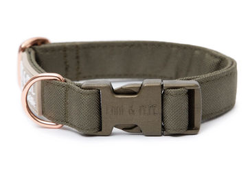 Produktbild von Hundehalsband Lotte 2.0 39-64cm Safety
