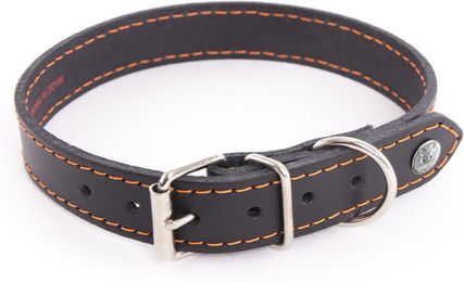 Produktbild von Hundehalsband Martin Sellier Flash