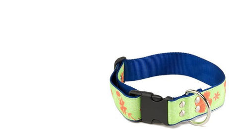 Produktbild von Hundehalsband Martin Sellier L