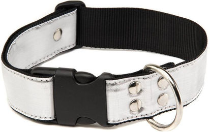 Produktbild von Hundehalsband Martin Sellier L