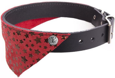 Produktbild von Hundehalsband Martin Sellier Miami