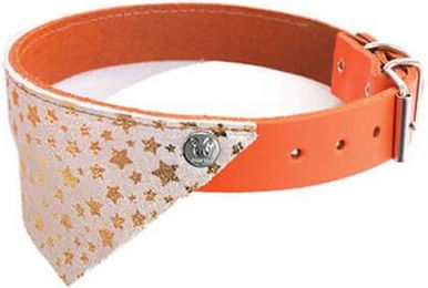 Produktbild von Hundehalsband Martin Sellier Miami