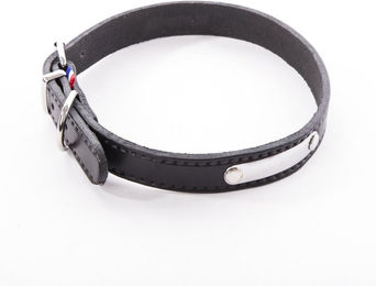 Hundehalsband Martin Sellier Rive – Bild 1 von 2