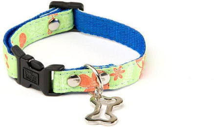 Produktbild von Hundehalsband Martin Sellier S