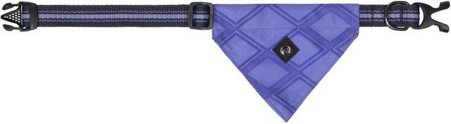Produktbild von Hundehalsband mit Bandana QHP
