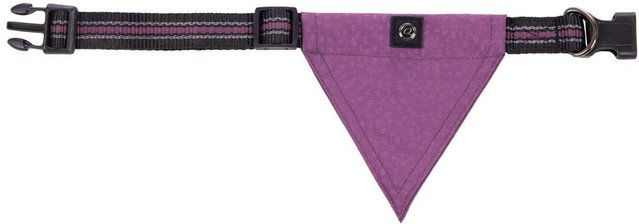 Produktbild von Hundehalsband mit Bandana QHP