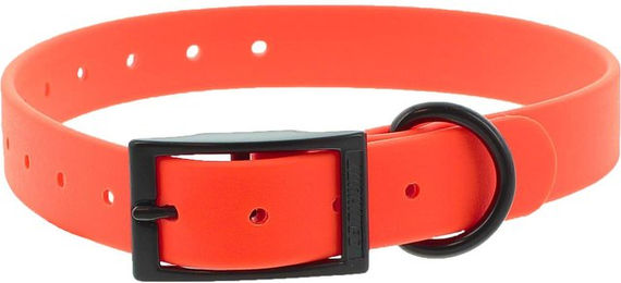 Produktbild von Hundehalsband mit doppelter Schnalle Canihunt Ctech