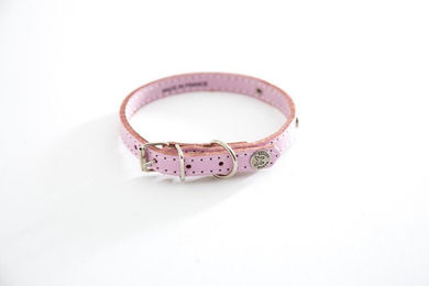 Produktbild von Hundehalsband mit SteppnÃ¤hten und Platte Martin Sellier