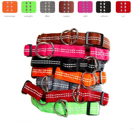 Produktbild von Hundehalsband mit Zugstopp