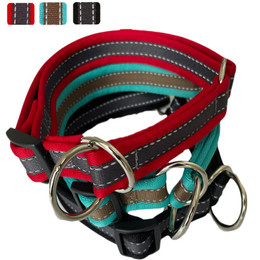 Produktbild von Hundehalsband mit Zugstopp Soft Grip