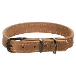 Hundehalsband Montana Leder Cognac – Bild 1 von 4