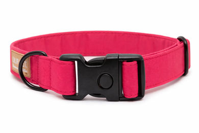 Produktbild von Hundehalsband Neon Pink Extreme - 35-55 cm