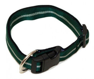Hundehalsband Nylon Streifen WienerLock Steckschloss® – Bild 1 von 2