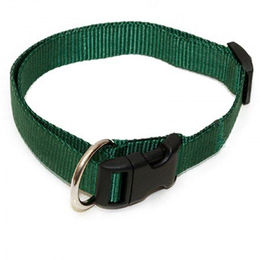 Hundehalsband Nylon Uni WienerLock Grün – Bild 1 von 2