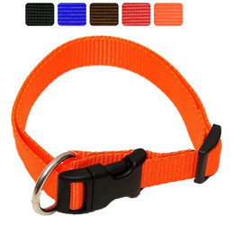Produktbild von Hundehalsband Nylon WienerLock Steckschloss® Unifarbend