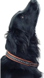 Produktbild von Hundehalsband Pénélope Point Sellier