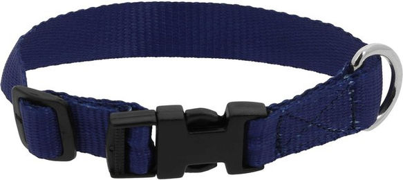 Produktbild von Hundehalsband Riding World Pat