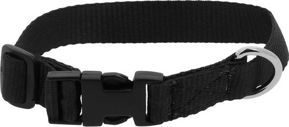 Produktbild von Hundehalsband Riding World Pat