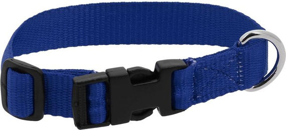 Produktbild von Hundehalsband Riding World Pat