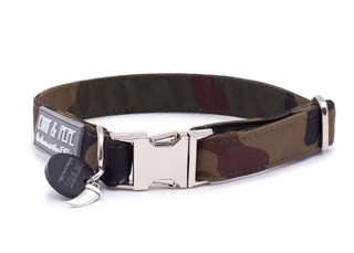 Produktbild von Hundehalsband Rock Me - 4cm