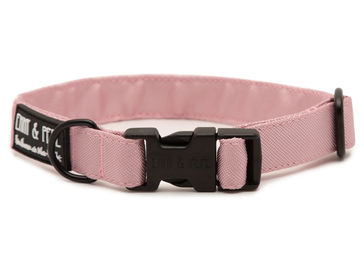 Produktbild von Hundehalsband Rosi S - 22-34 cm