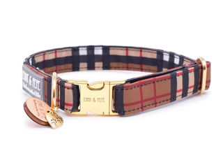 Produktbild von Hundehalsband Sherlock - 4cm