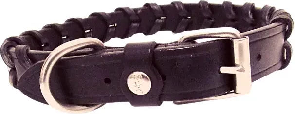 Produktbild von Hundehalsband Silver Crown Bredie