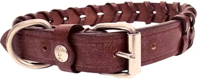 Produktbild von Hundehalsband Silver Crown Bredie