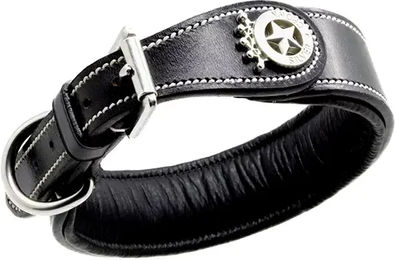 Produktbild von Hundehalsband Silver Crown Carlotta