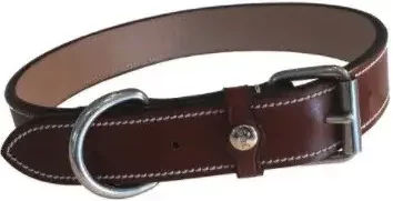 Produktbild von Hundehalsband Silver Crown Karl