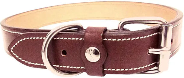 Produktbild von Hundehalsband Silver Crown Karl