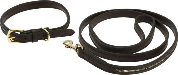 Produktbild von Hundehalsband und Leine Equithème Max