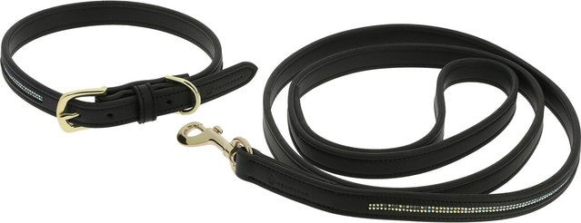 Produktbild von Hundehalsband und Leine Equithème Max