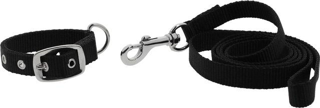 Produktbild von Hundehalsband und Leine Riding World Oscar