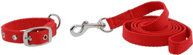 Produktbild von Hundehalsband und Leine Riding World Oscar