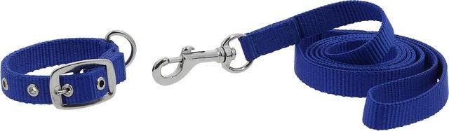 Produktbild von Hundehalsband und Leine Riding World Oscar