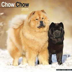 Produktbild von Hundekalender 2025 Chow Chow