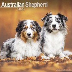 Hundekalender 2026 Australian Shepherd, Maße: ca. 30,5 x 30,5 cm – Bild 1 von 8