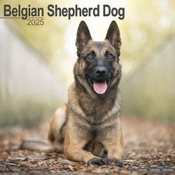Hundekalender 2026 Belgischer Schäferhund, Maße: ca. 30,5 x 30,5 cm – Bild 1 von 8